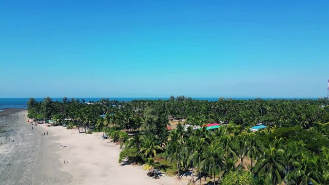 Sandy Beach & Coconut Trees in Saint Martin