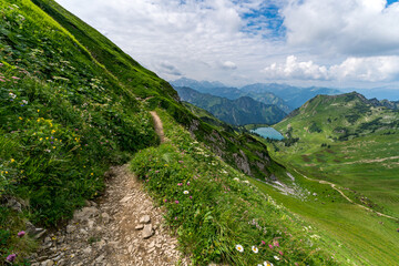 Naklejka premium Lush Alpine Pathway Leading to a Scenic Lake in the Bavarian Mountains of Oberstdorf