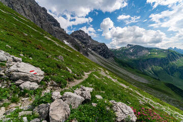 Alpine landscape with hiking trail and blooming flowers in the Allgaeu Alps near Oberstdorf