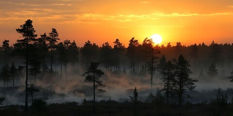 Fototapeta premium Sunrise over misty forest