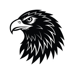 eagle head vector illustration