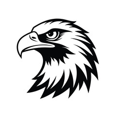 eagle head vector illustration