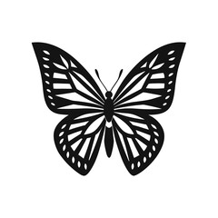 butterfly vector illustration