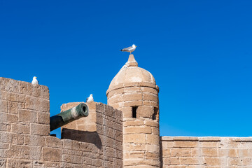 Views around Essaouira a port town in Morocco 