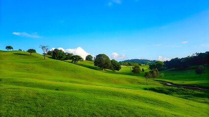Obraz premium Rolling green hills under a bright blue sky peace