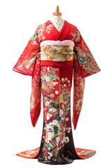 Isolated Ornate Kimono