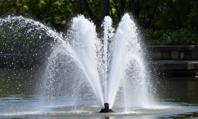 Fototapete Elegant fountain spraying in the sunlight © Alex