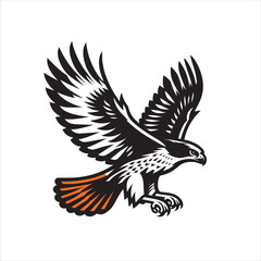 Fototapeta premium Red tail hawk vector, flying, set hawak