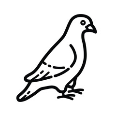 Standing Pigeon Bird Outline Icon Isolated On White Background