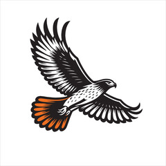 Obraz premium Red tail hawk vector, flying, set hawak