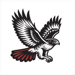 Obraz premium Red tail hawk vector, flying, set hawak
