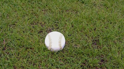 Image of a softball laying in green grass with a soft background. Suitable for sports, outdoor recreation, and game-related themes. Good to illustrate baseball/softball, recreation or sports equipment