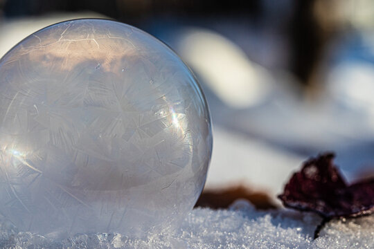 Macro Photo of a Frozen Soap Bubble forming Geometric Ice Crystals as it sits on snow. 