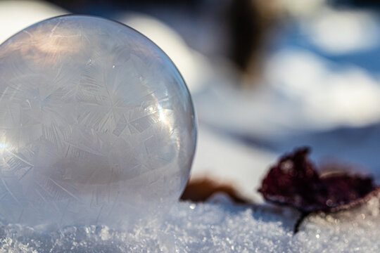 Macro Photo of a Frozen Soap Bubble forming Geometric Ice Crystals as it sits on snow. 