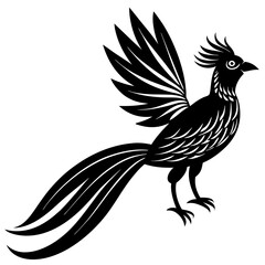 bird of paradise