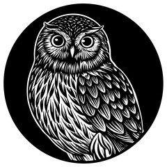 owl on a black background