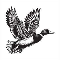 vector duck flying, sitting and howling