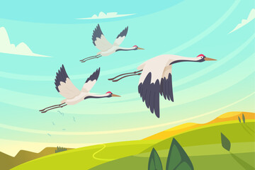 Cranes in the sky. wild flying beauty birds outdoor. vector background