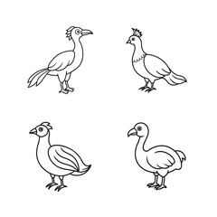 Set of bird line art 