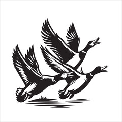 vector duck flying, sitting and howling