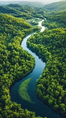 Serene Aerial View of Lush Green Forests and Meandering Rivers in Nature, Perfect for Environmental and Travel Themes