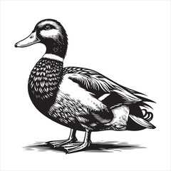 vector duck flying, sitting and howling