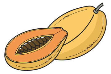 hot dog illustration