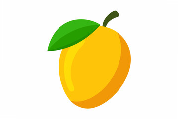 vector illustration of mango fruit