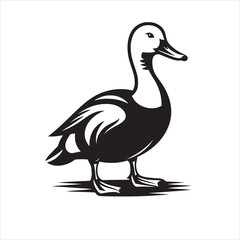 vector duck flying, sitting and howling