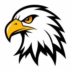 bald eagle vector illustration isolated on white background