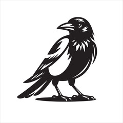 Vector magpie silhouette black and white