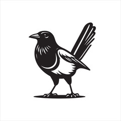 Vector magpie silhouette black and white