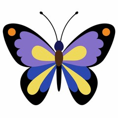 butterfly isolated on white background