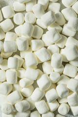 Soft Puffy White Mini Marshmallows