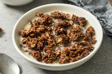 Homemade Healthy Chocolate Granola Breakfast Cereal