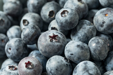 Raw Organic Blue Sweet Blueberries