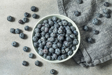 Raw Organic Blue Sweet Blueberries