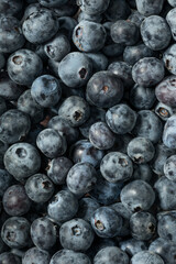 Raw Organic Blue Sweet Blueberries