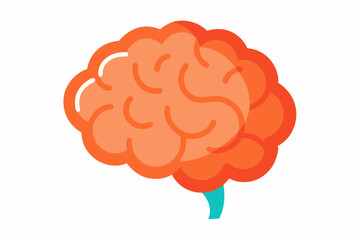 Brain human anatomy biology organ body system health care