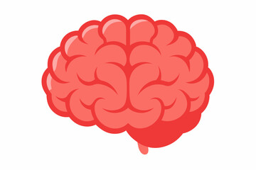 Brain human anatomy biology organ body system health care