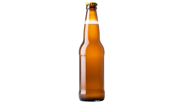 Single unopened beer bottle on transparent background PNG.  
