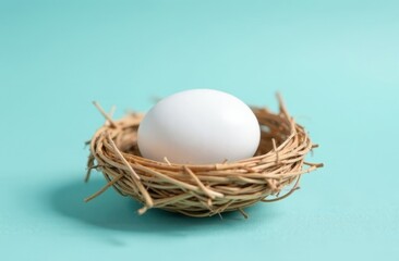 White egg in a nest on a blue background, symbol of new life and Easter