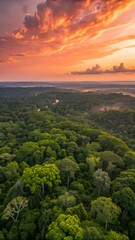 Fototapeta premium Beautiful green amazon forest landscape at sunset sunrise. Adventure explore air dron view vibe