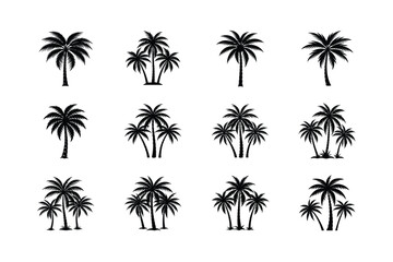 Obraz premium set of palm trees