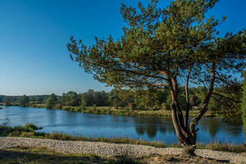Polish River. Pilica.