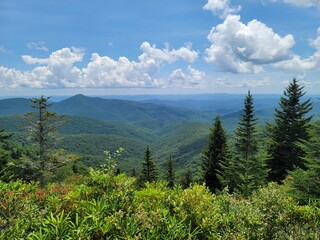 Tennessee landscapes