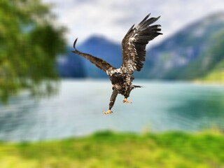 Fototapety na wymiar - Fototapeta24.pl