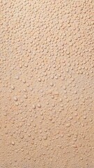 Ecru gradient with texture of eggshell. Pastel light beige background, modern dotted vector design, paper texture.