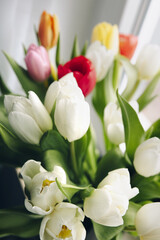 A bouquet of white tulips on a window. Gifts for the holidays. Copy space. Top view. Spring mood.