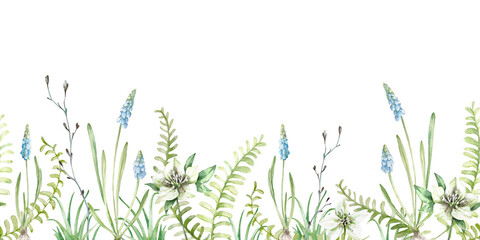 Floral spring seamless border hand drawn with watercolor. Horizontal pattern with fern leaves, tree branches, muscari and hellebore flowers and grass. Template for textile and label design © Anastasiia